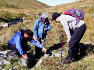 Vermin Trap Examining a vermin trap on the upper reaches of the Avon